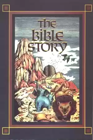 Bible Story Cover